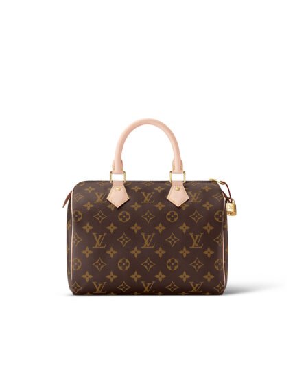 Louis Vuitton SPEEDY 25 Handbag - Fashionable Classic